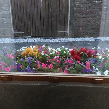 Casa Do Grilo Gospodarstwo wiejskie *